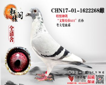 ζ 1622268