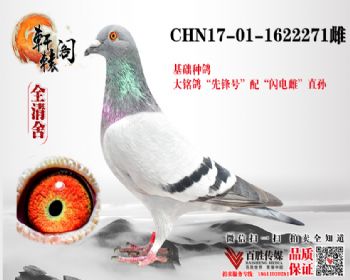 WHZB1622271