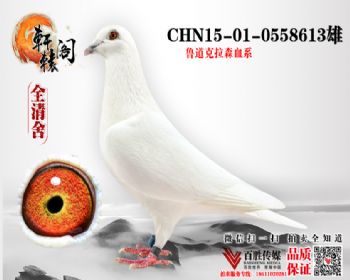  0558613