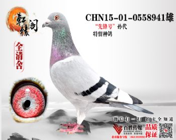-WHZBھ 0558941