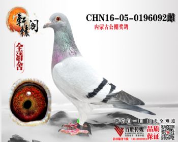 ɹŹｱ 0196092