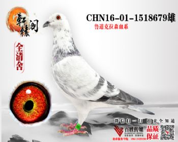 ³ɭ 1518679