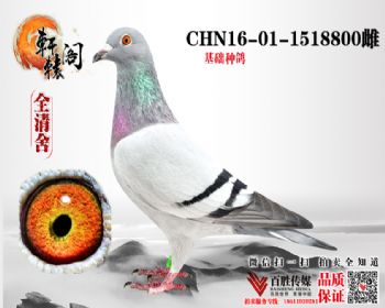 540＾ƽ 1518800
