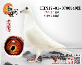 ţʿ 0700549