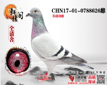 71ƽ 0788626