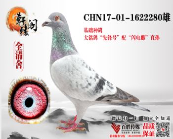 Ů 1622280