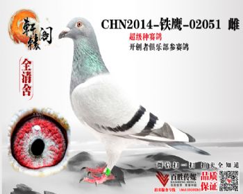 WHZBھ 02051