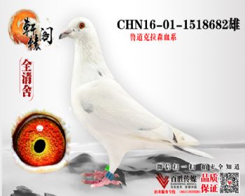 С 1518682