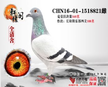 С 1518821