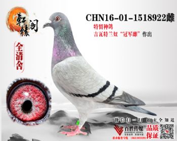 ūھ ֱŮ 1518922