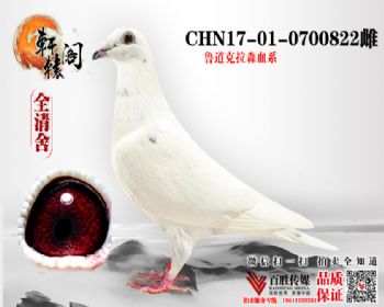 WHZBھ 0700822
