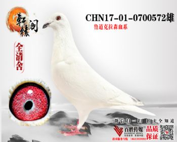 ˹ 0700572