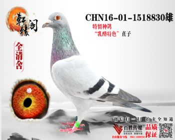С 1518830