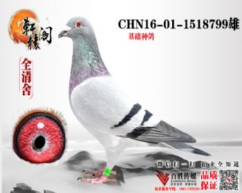 ھֱϵ1518799
