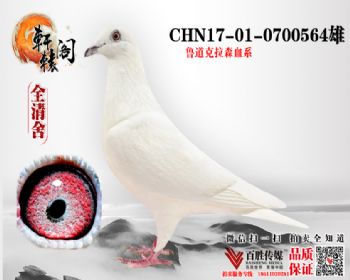 ھ 0700564