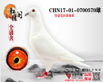 ˻ 0700570