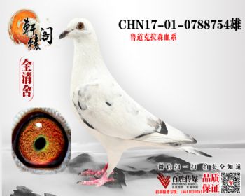 С 0788754