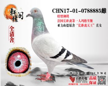 ֱŮ 0788885