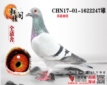 ƽʻ 1622247