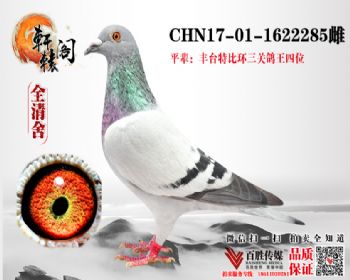 ظ4ƽ 1622285