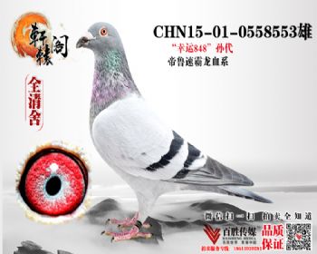 848ֱ 0558553