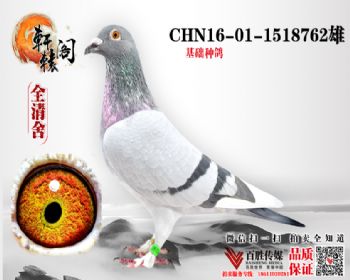 74ƽ 1518762