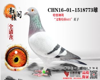 ζ1518773