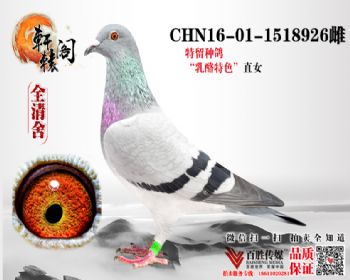 С 1518926