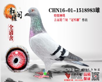 ̨7 ƽ 1518983