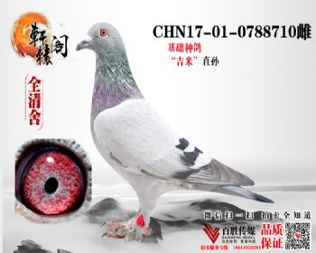 һճֱ0788710