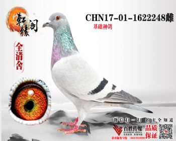 ֱϵ1622248