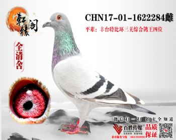 ̨4ƽ 1622284