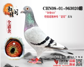 ĸ020ָ߱963020
