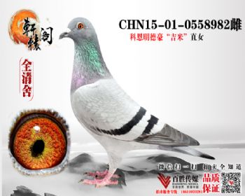 һճھֱŮ 0558982