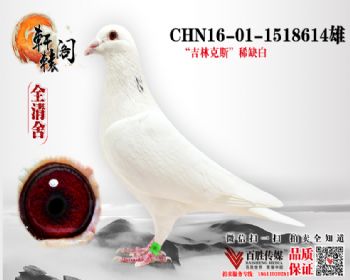 ³ֿ˹1518614