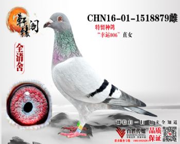 848ֱŮ1518879