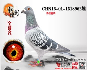 70017ֱ 1518962
