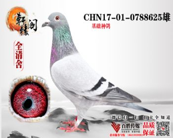 ־74ƽ 0788625