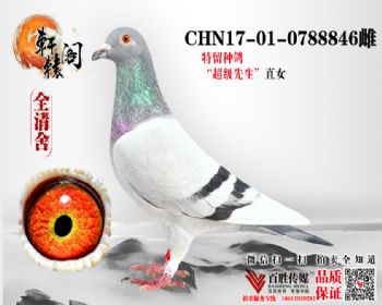 NPOֱ 0788846