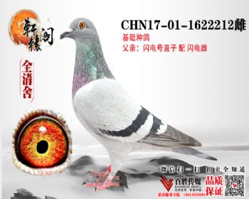 ֱϵ 1622212