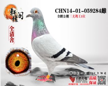 ھ1401059284