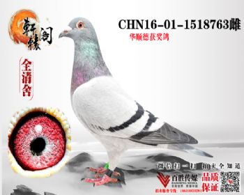 71ƽ 1518763