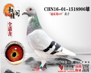 ٰ97074ƽ 1518906