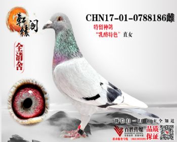 С ƽ 0788186