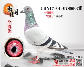 ̨4ƽ 0788607