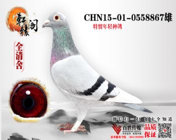 ָ ֱϵ 0558867