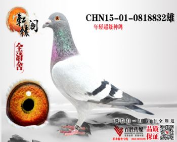 ū13ֱ 0818832