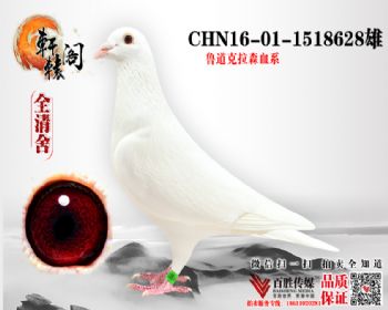 Ұֱϵ 1518628