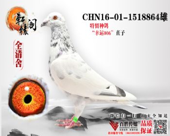 ˰ 8481518864