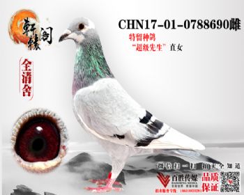 NPOھӴ 0788690